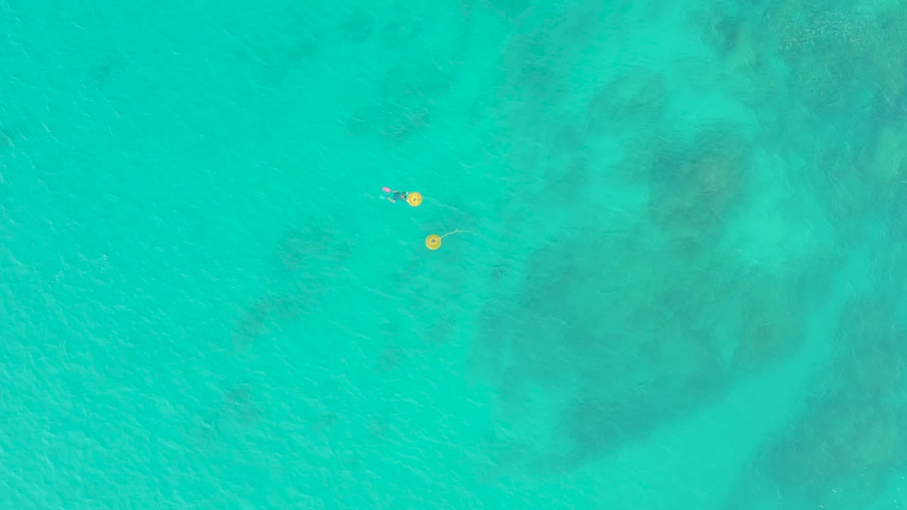 At 0:03, the swimmer appears near the yellow buoys in the upper-left portion of the Laguna Beach Los Cabos frame, with broad calm water and seabed texture around them.