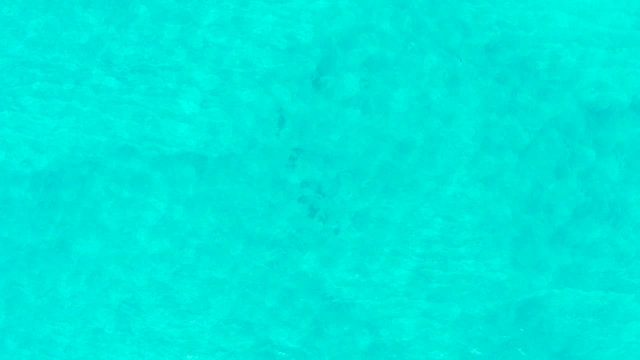 Mid-clip frame of shallow turquoise water at Laguna Beach Los Cabos, where small light reflections drift across the surface and no visible people appear.