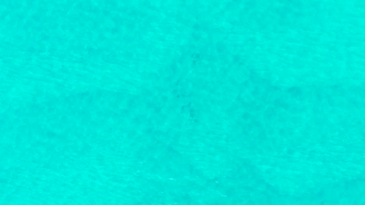 Clear turquoise ocean water in Laguna Beach Los Cabos fills the frame as low ripples pass over the sandy bottom, with no visible people.