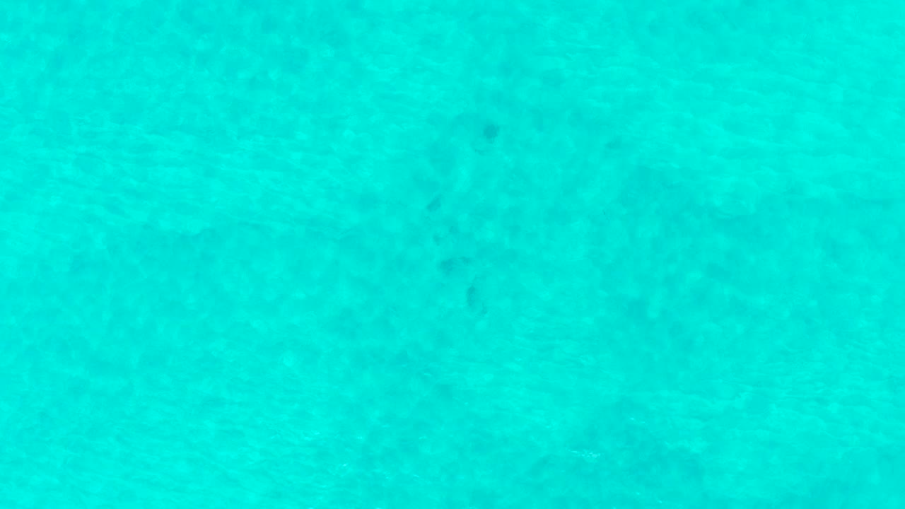 An overhead frame of calm turquoise ocean water in Laguna Beach Los Cabos shows transparent shallows and a pale seabed, with no visible people.