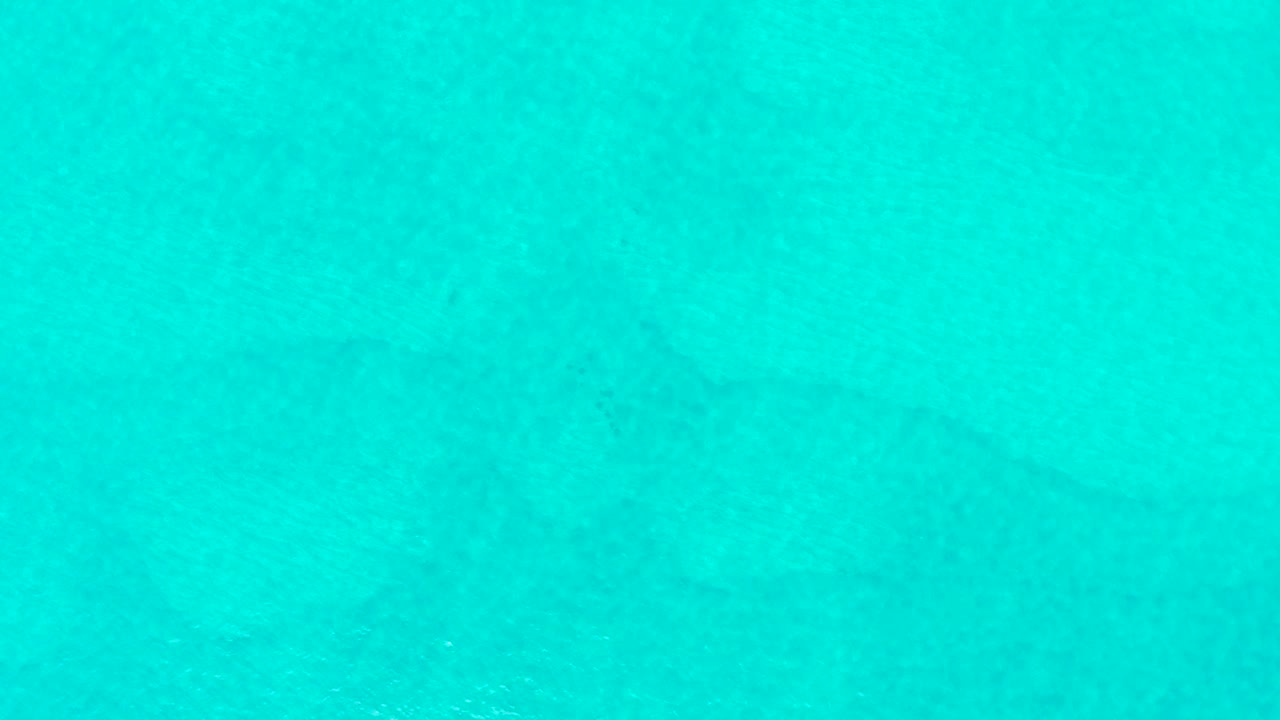 A blue-green overhead water view at Laguna Beach Los Cabos shows the shark shape muted by the surface texture and no visible people.