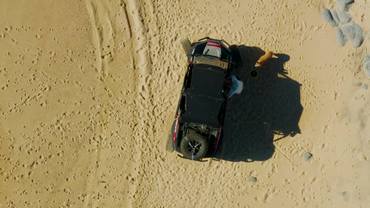 Top-down frame from Laguna Beach Los Cabos showing the black SUV near the upper right of the sandy field, with a person beside it, a dog just beyond the shadow, and faint tracks across the sand.