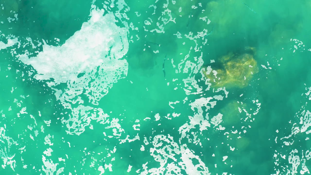 A yellow-green turtle shell appears under bright turquoise water at Laguna Beach Los Cabos, with white surface foam clustered left of frame and no visible people.