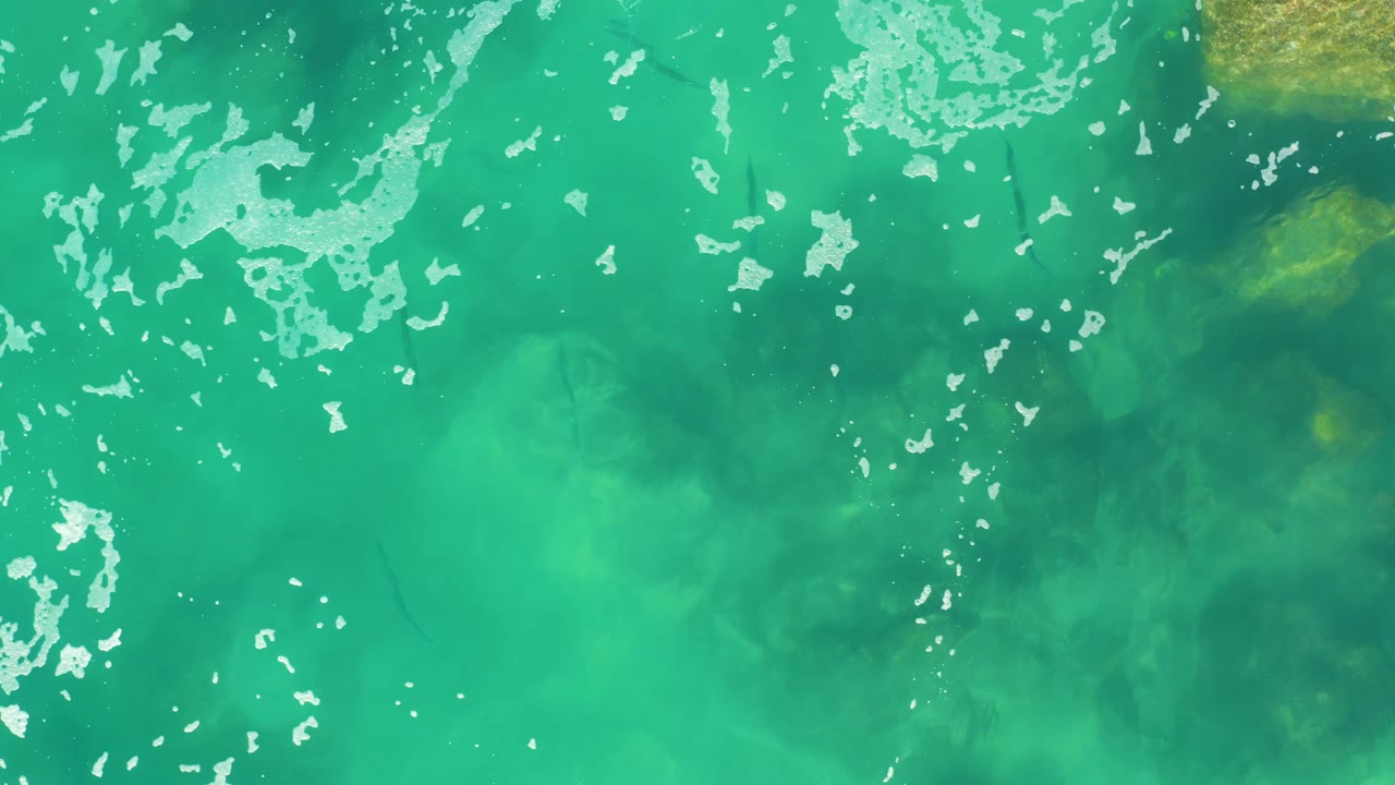 Turquoise shallow water with white surface foam and fish shapes below