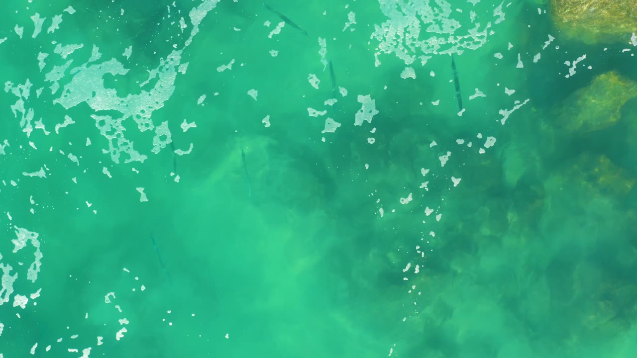 Turquoise ocean surface at Laguna Beach Los Cabos shows broken white foam near the top of frame and darker fish shapes moving through the shallow water, no visible people.