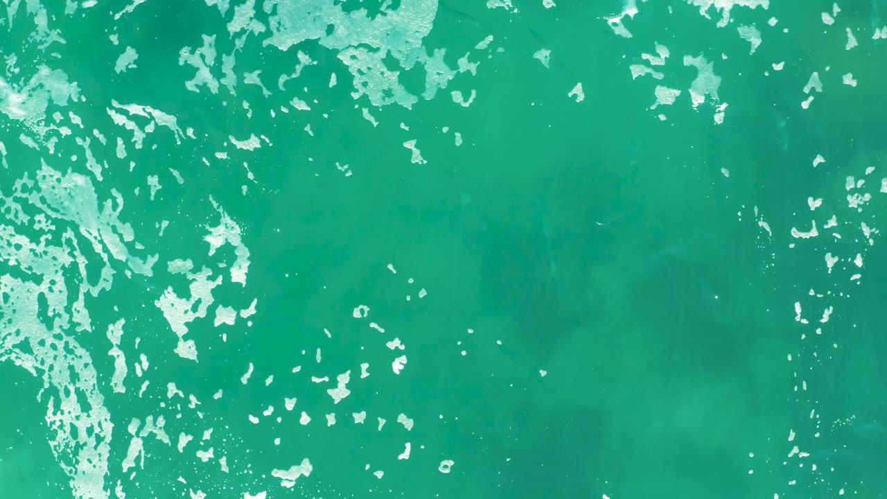 Blue green ocean surface with foam clusters and a dark marine animal shape under the water.
