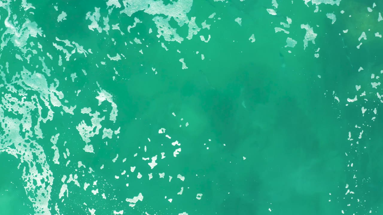 Aerial view over Laguna Beach Los Cabos water where white foam gathers near the upper edge and a dark marine animal shape sits below the surface, no visible people.