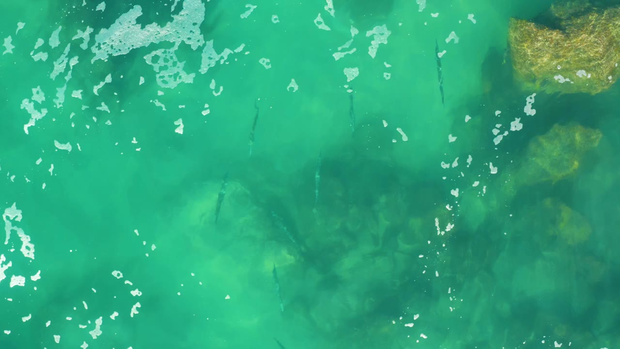Turquoise shallow water with foam, submerged rocks, and small fish.