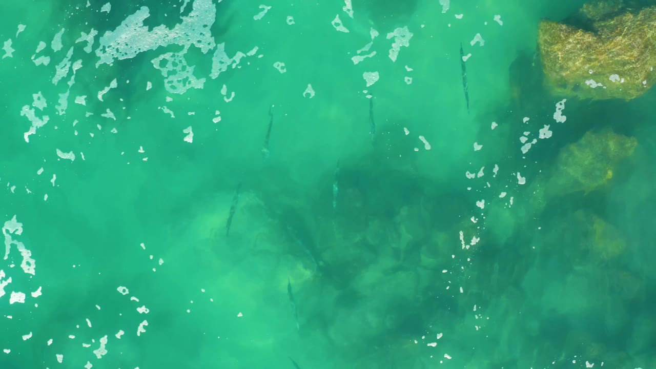 A second top-down frame shows clear green-blue water at Laguna Beach Los Cabos, darker fish shapes crossing over shadowed submerged rocks, light foam at the edge, and no visible people.