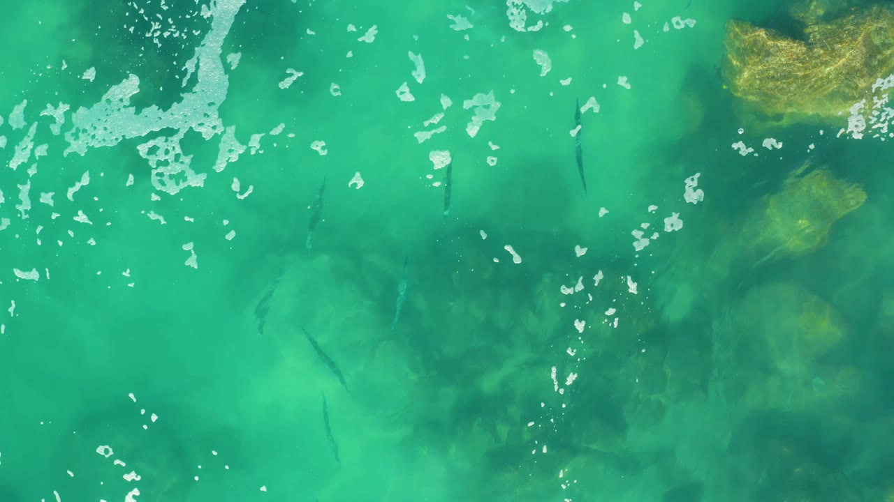 Foam spreads across the top of the turquoise water at Laguna Beach Los Cabos while small fish and muted rock shapes remain visible below the surface, with no visible people.