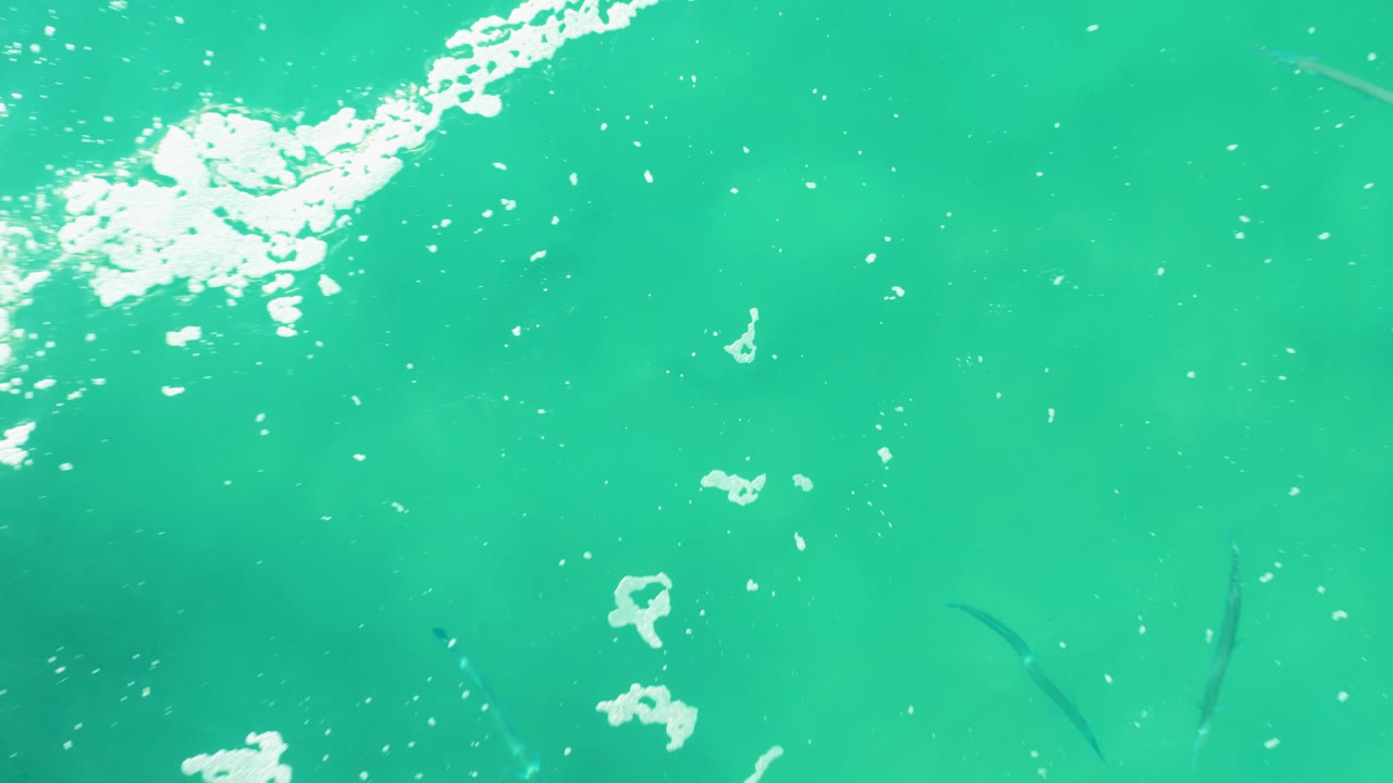 Turquoise ocean water with white foam and small fish below the surface