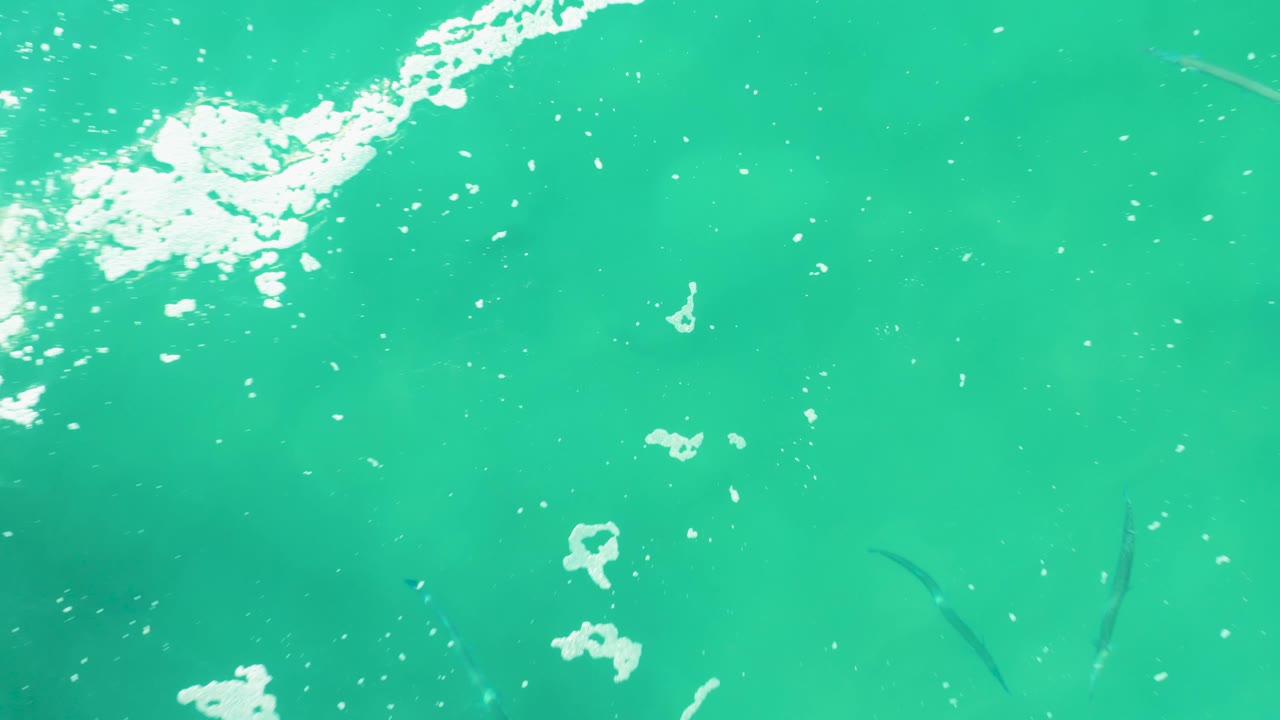 Small dark fish shapes sit beneath clear turquoise water at Laguna Beach Los Cabos while broken white foam drifts across the upper portion, with no visible people.