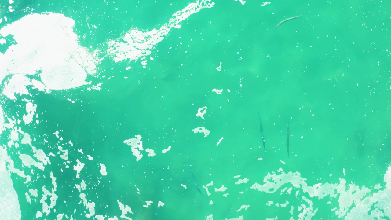 Bright white foam covers the left side of the Laguna Beach Los Cabos ocean frame while small fish appear deeper in the turquoise water, with no visible people.