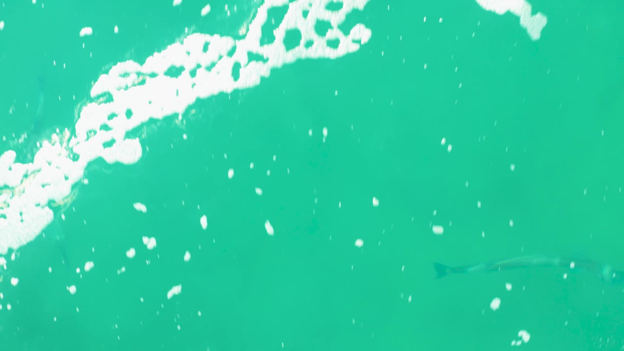 Turquoise ocean surface with white foam and a faint fish shape