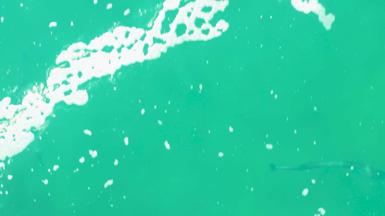 Turquoise water fills the frame at Laguna Beach Los Cabos as broken white foam runs along the upper left and a faint fish remains visible under the surface, with no visible people.