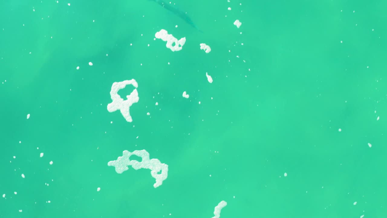 Turquoise ocean surface with scattered white foam patches.