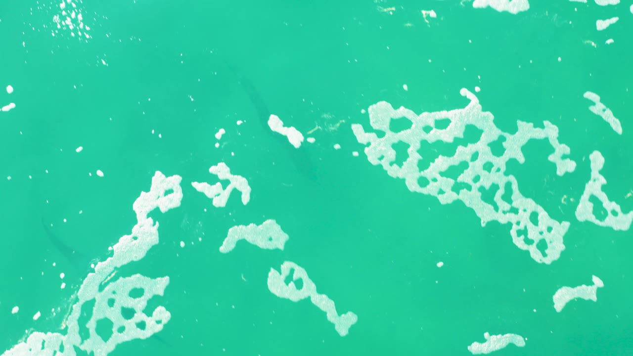 White sea foam clusters spread across clear turquoise water in Laguna Beach Los Cabos, with fish shadows visible under the surface and no visible people.