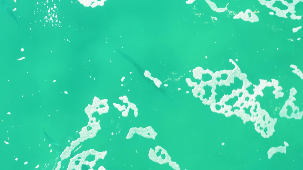 A broad white foam patch crosses turquoise water in Laguna Beach Los Cabos while darker fish forms appear beneath the surface, no visible people.