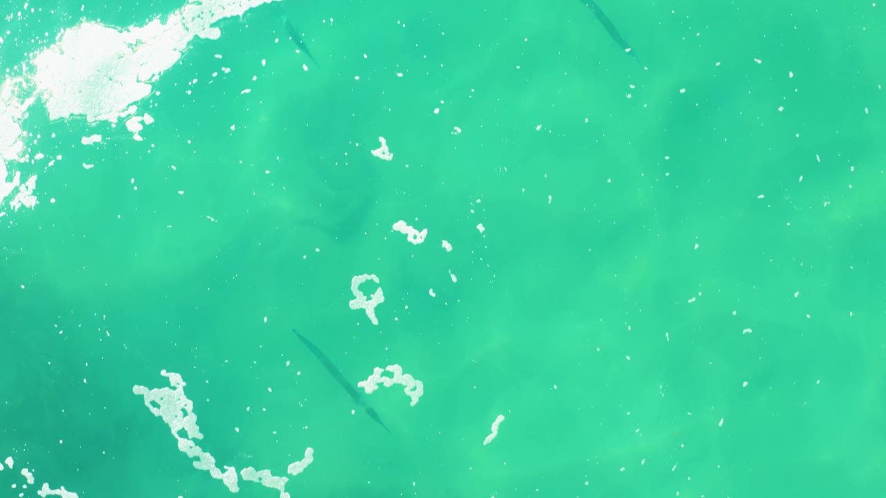 Turquoise ocean water with white foam and dark fish shapes below the surface.