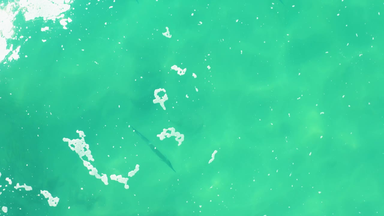 At 0:02, the Laguna Beach Los Cabos water shows larger foam patches across the turquoise surface and faint fish silhouettes below, with no visible people or shoreline.