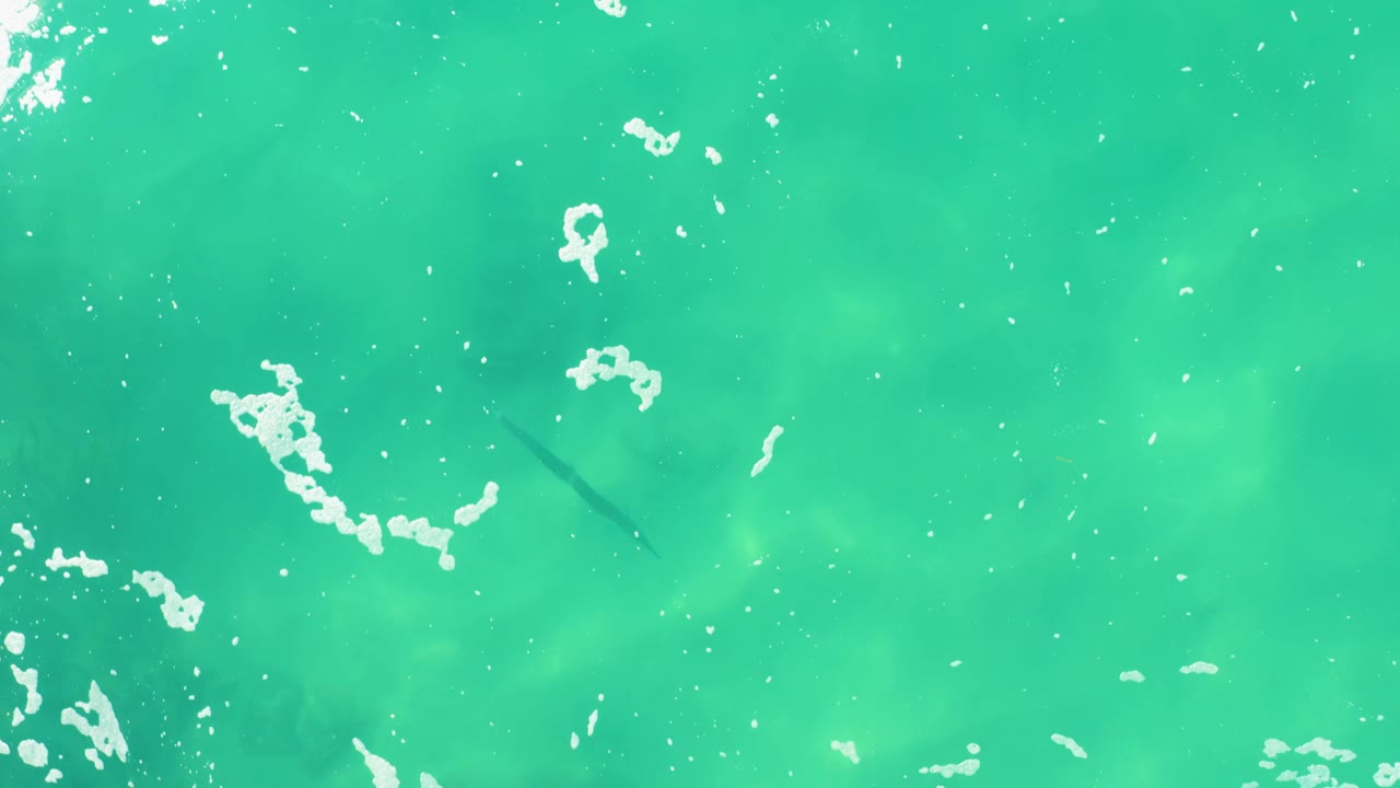 The 0:03 frame shows a flatter patch of turquoise ocean at Laguna Beach Los Cabos, with small white bubbles, foam streaks, and faint dark fish shapes under the surface, no visible people.