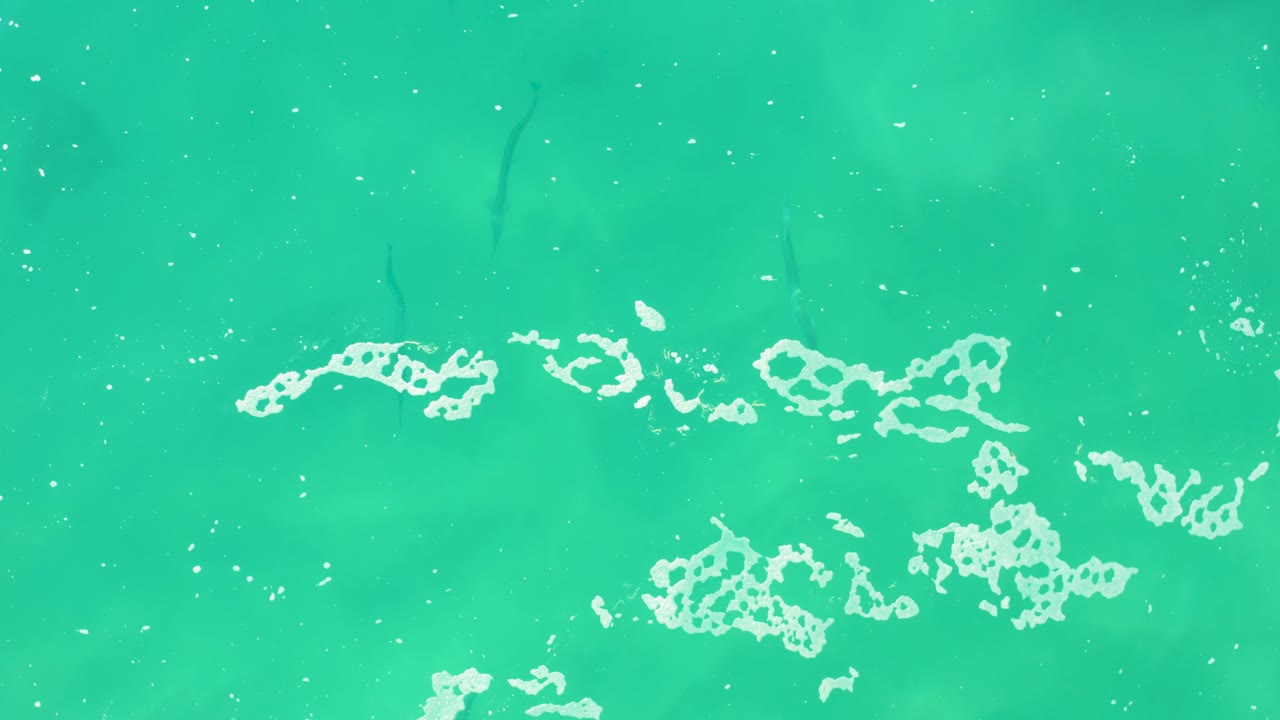 Overhead view of turquoise water at Laguna Beach Los Cabos with white foam streaks near the lower half, small bubbles across the surface, and no visible people.