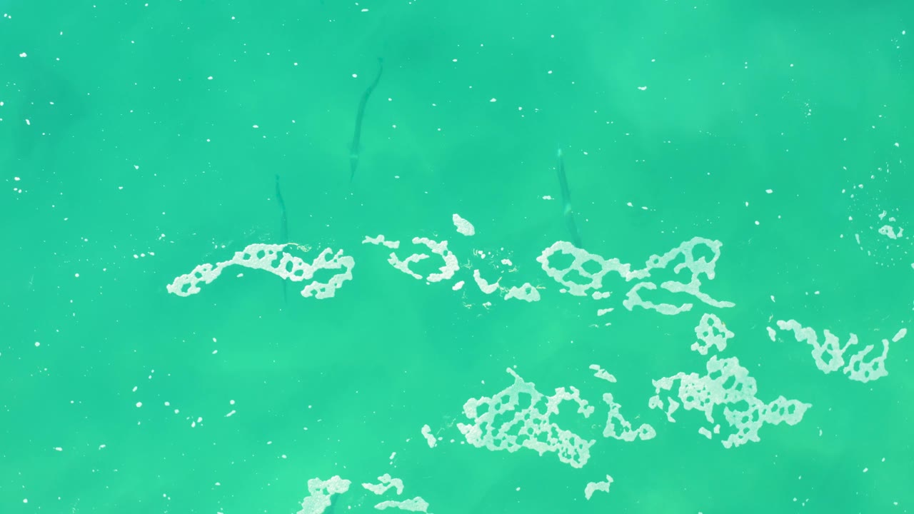 Overhead Laguna Beach Los Cabos water surface with broken white foam clusters stretched across the lower portion and scattered bright bubbles, with no visible people.