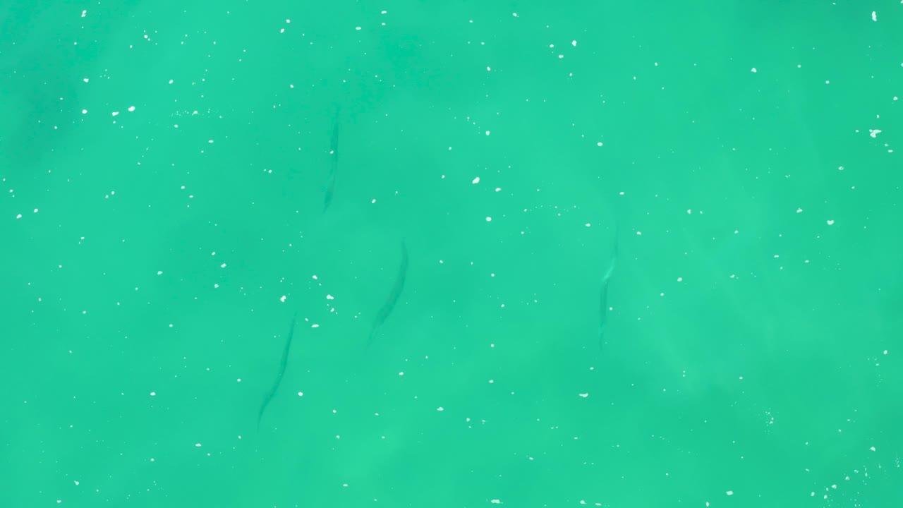 Turquoise water surface in Laguna Beach Los Cabos with scattered white bubbles, faint submerged dark shapes, and no visible people at the start of the clip.
