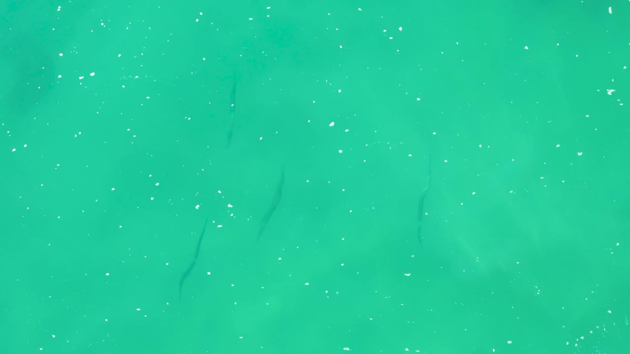 Laguna Beach Los Cabos turquoise water with scattered bubbles, a small white foam cluster entering near the lower edge, and no visible people.