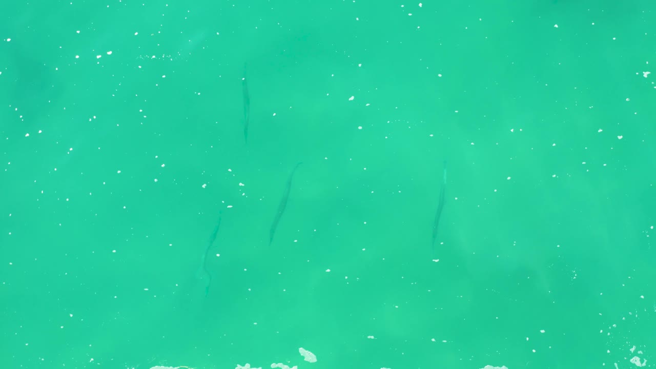 Overhead Laguna Beach Los Cabos water surface with a brighter white foam band along the lower edge, scattered bubbles, faint underwater shapes, and no visible people.