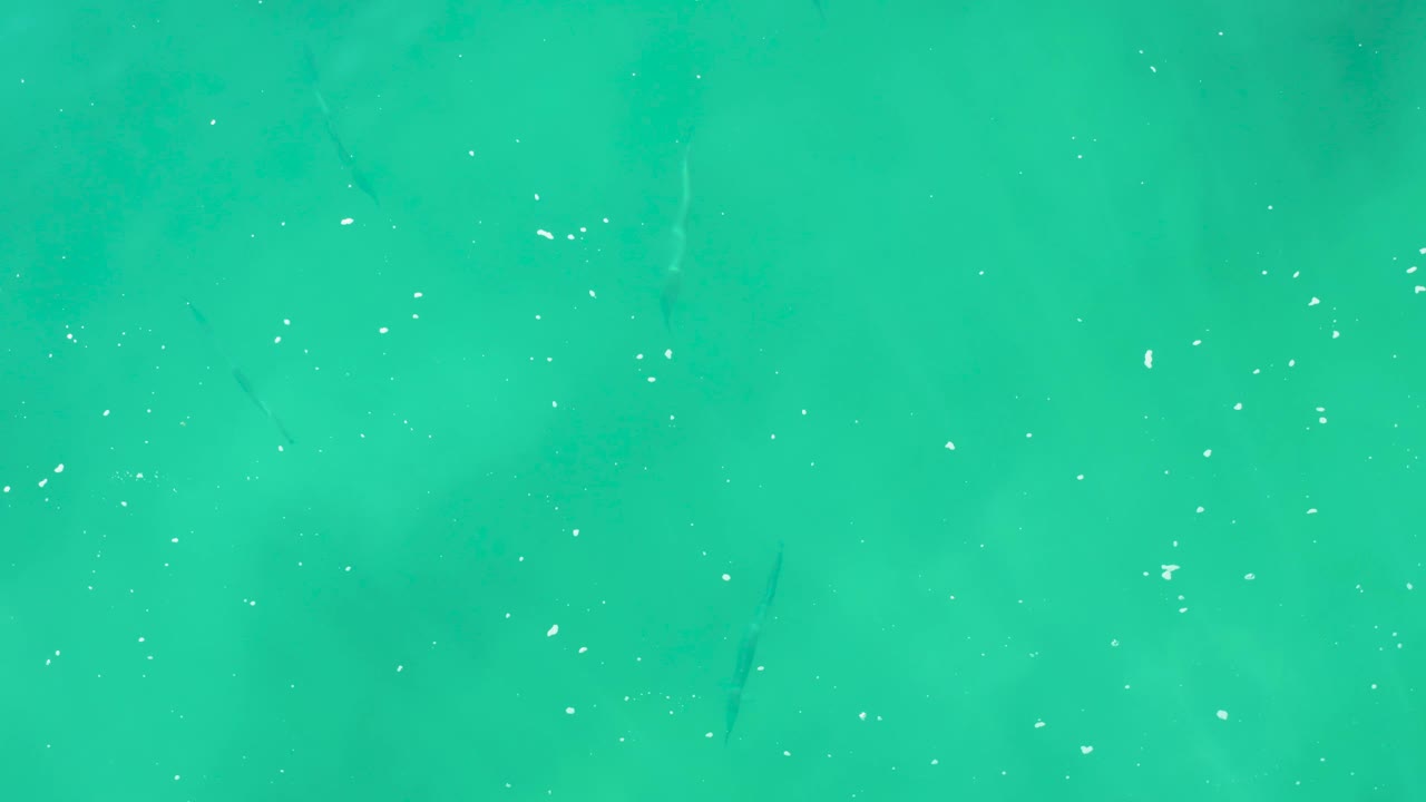 Turquoise ocean at Laguna Beach Los Cabos fills the overhead frame with faint fish silhouettes, small white bubbles, and no visible people.