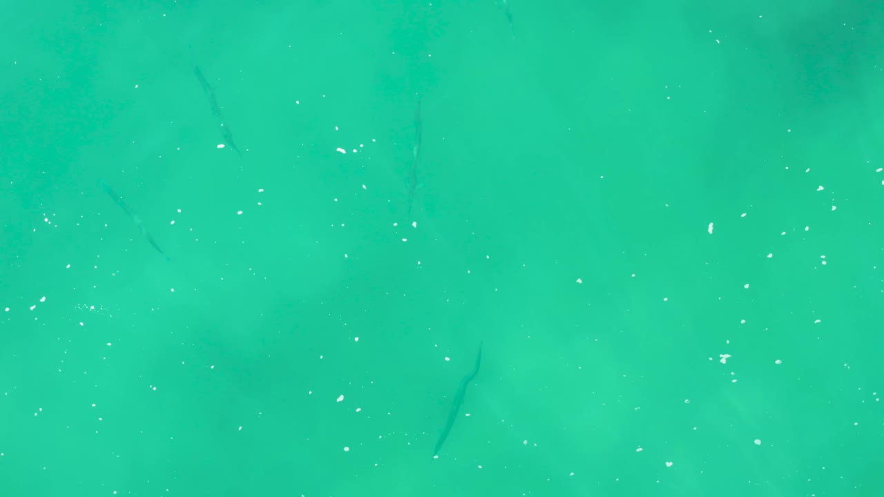 Small fish drift beneath clear turquoise surface water at Laguna Beach Los Cabos, with scattered bubbles and no visible people.