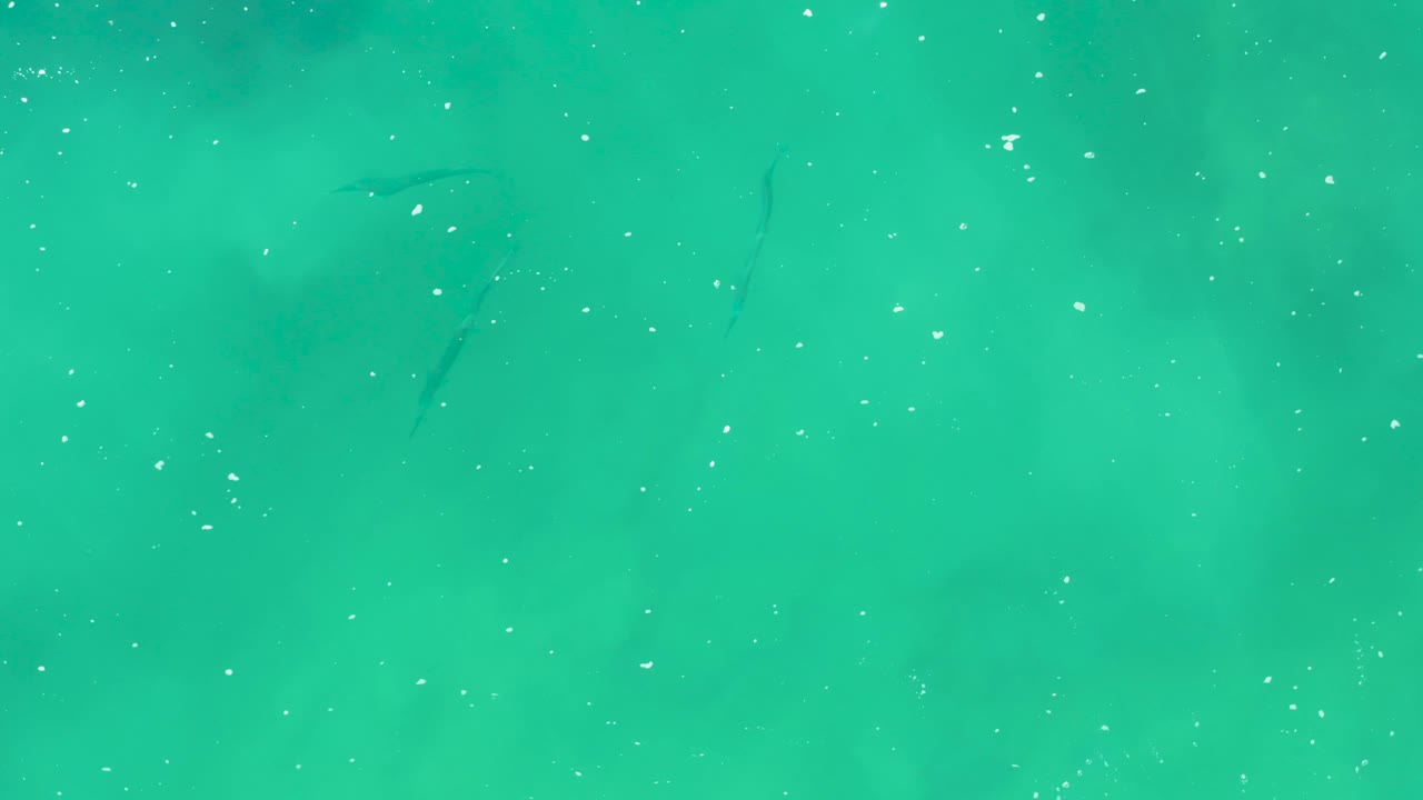 Clear turquoise water in Laguna Beach Los Cabos shows more white bubbles across the surface, a small fish shape near the lower left, darker underwater patches, and no visible people.