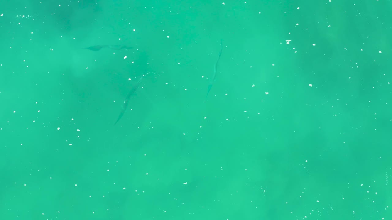 Turquoise sea surface at Laguna Beach Los Cabos with sparse white particles, a dark fish shape near the upper middle, soft darker areas beneath the water, and no visible people.