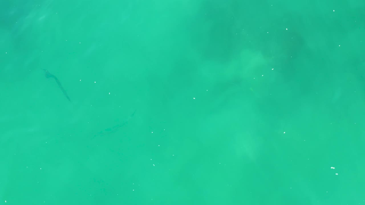 Clear green-blue water at Laguna Beach Los Cabos shows faint small fish shapes below the surface, soft underwater shadowing, and no visible people.