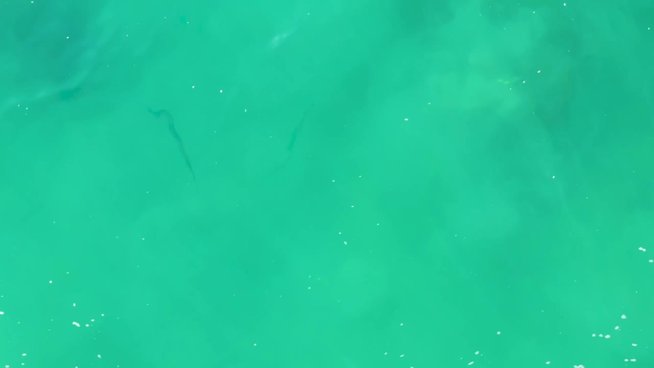 Small fish shapes appear under bright turquoise water at Laguna Beach Los Cabos, with scattered bubbles across the surface and no visible people.