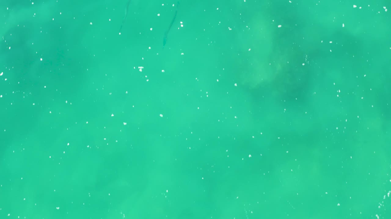 Overhead frame from Laguna Beach Los Cabos showing turquoise-green water, scattered white surface particles, faint fish silhouettes below, and no visible people.