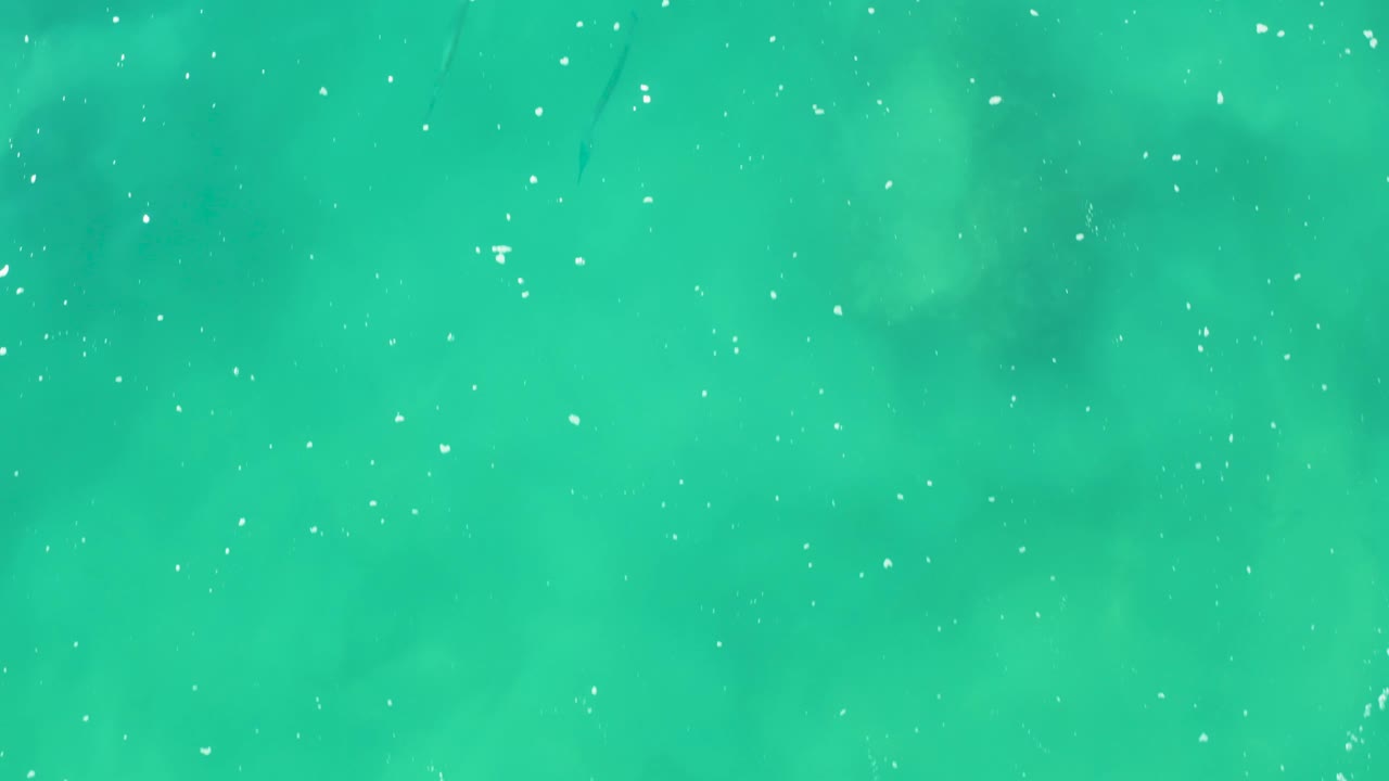 Second overhead frame from Laguna Beach Los Cabos with green water, more concentrated white specks near the upper area, dark fish traces below the surface, and no visible people.