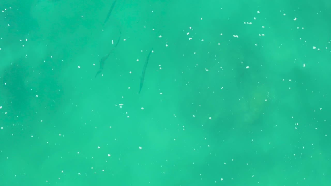 Overhead Laguna Beach Los Cabos frame with clear green water, pale submerged cloud-like patches, scattered white particles, faint fish shapes, and no visible people.