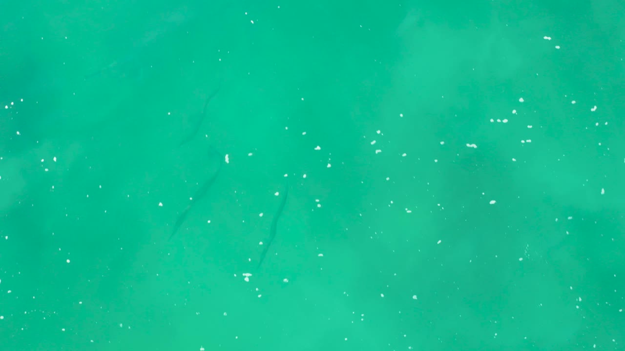 Mid-clip overhead view at Laguna Beach Los Cabos with turquoise water, scattered white surface flecks, subtle fish silhouettes, and no visible people.