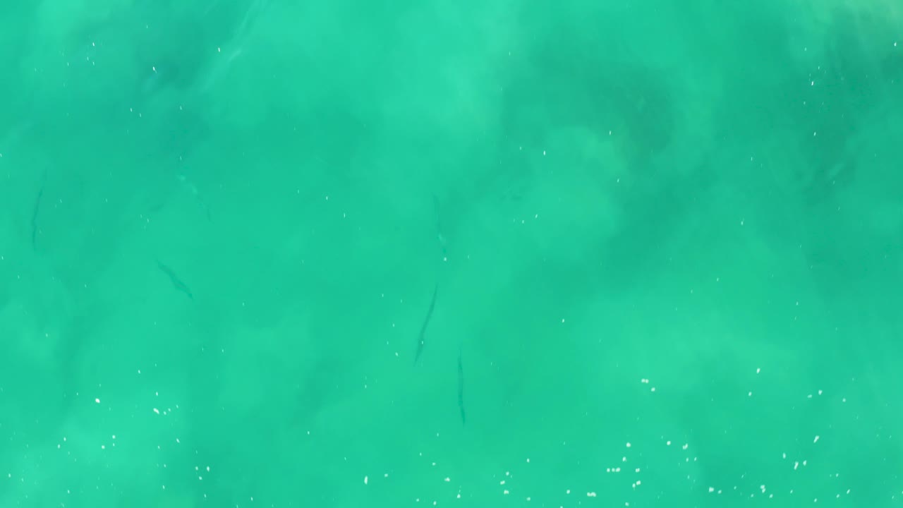 Clear turquoise water at Laguna Beach Los Cabos with faint dark fish shapes near the upper half, scattered white bubbles, and no visible people.