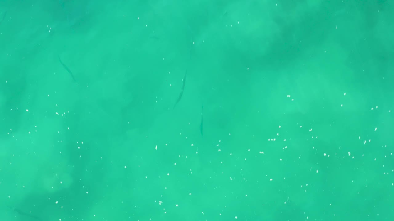 Green turquoise water at Laguna Beach Los Cabos with scattered bubbles, muted underwater shadows, faint fish shapes near the top, and no visible people.