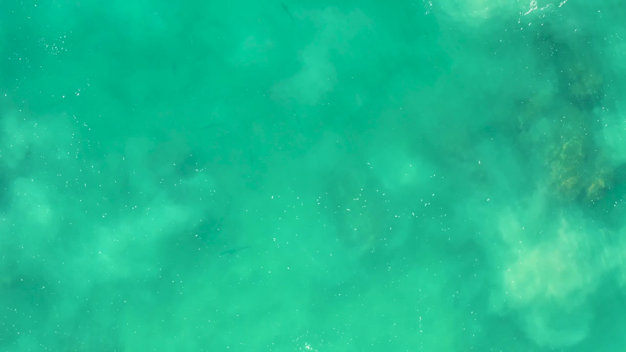 Turquoise shallow water with cloudy underwater vegetation and sun glints.