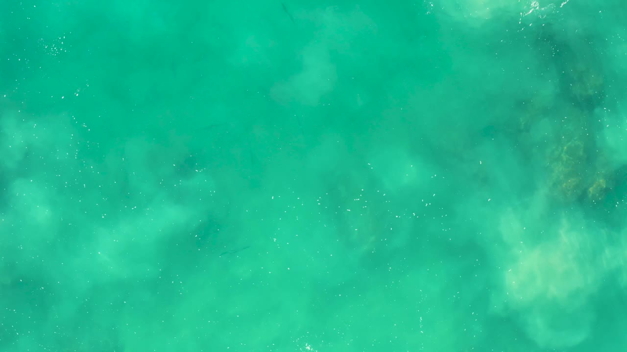 Overhead frame of green-turquoise water at Laguna Beach Los Cabos, showing diffuse underwater vegetation, faint dark fish-like marks, scattered bubbles, and no visible people.