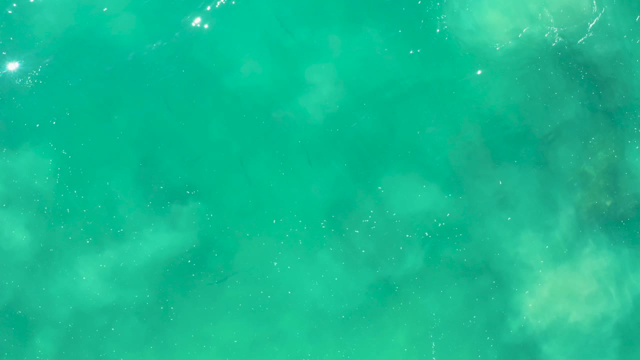Aerial view of clear turquoise water at Laguna Beach Los Cabos, with milky pale plant patches under the surface, a few bright reflections near the top, and no visible people.