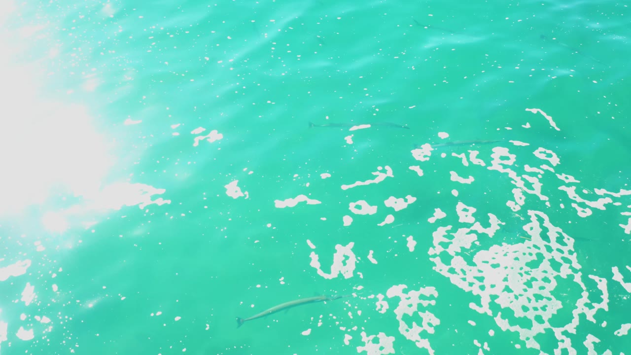 Turquoise ocean surface with white foam and sun glare.