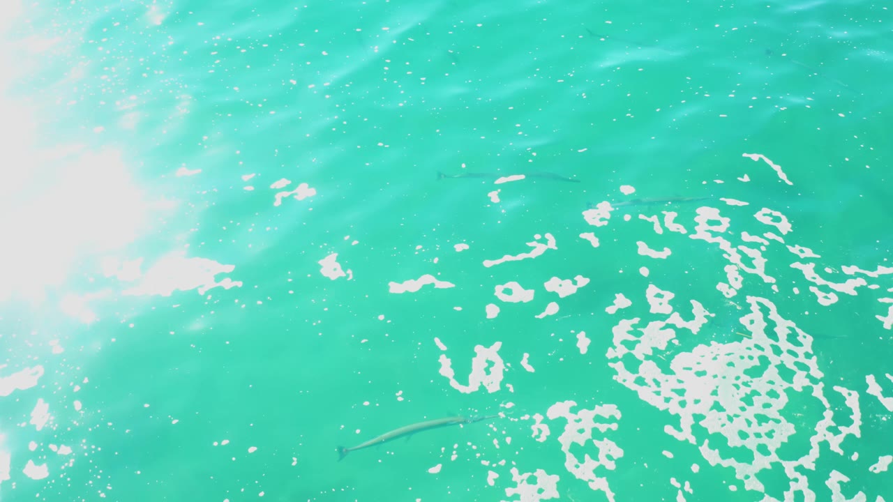 Turquoise water at Laguna Beach Los Cabos fills the frame with a loose cluster of white foam slightly right of center and no visible people.