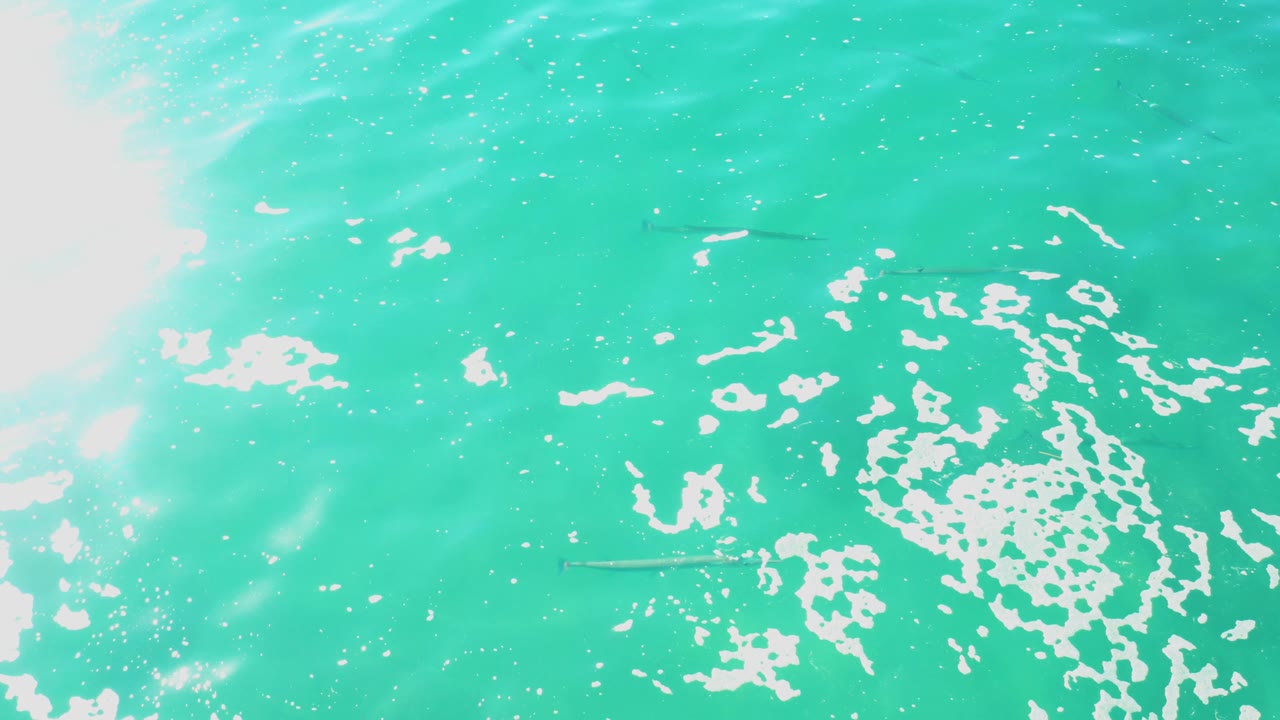 Overhead view of turquoise ocean at Laguna Beach Los Cabos with white foam stretched across the right half, pale glare at the left edge, and no visible people.