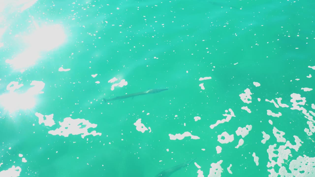 Turquoise water with sun glare and small fish below the surface.