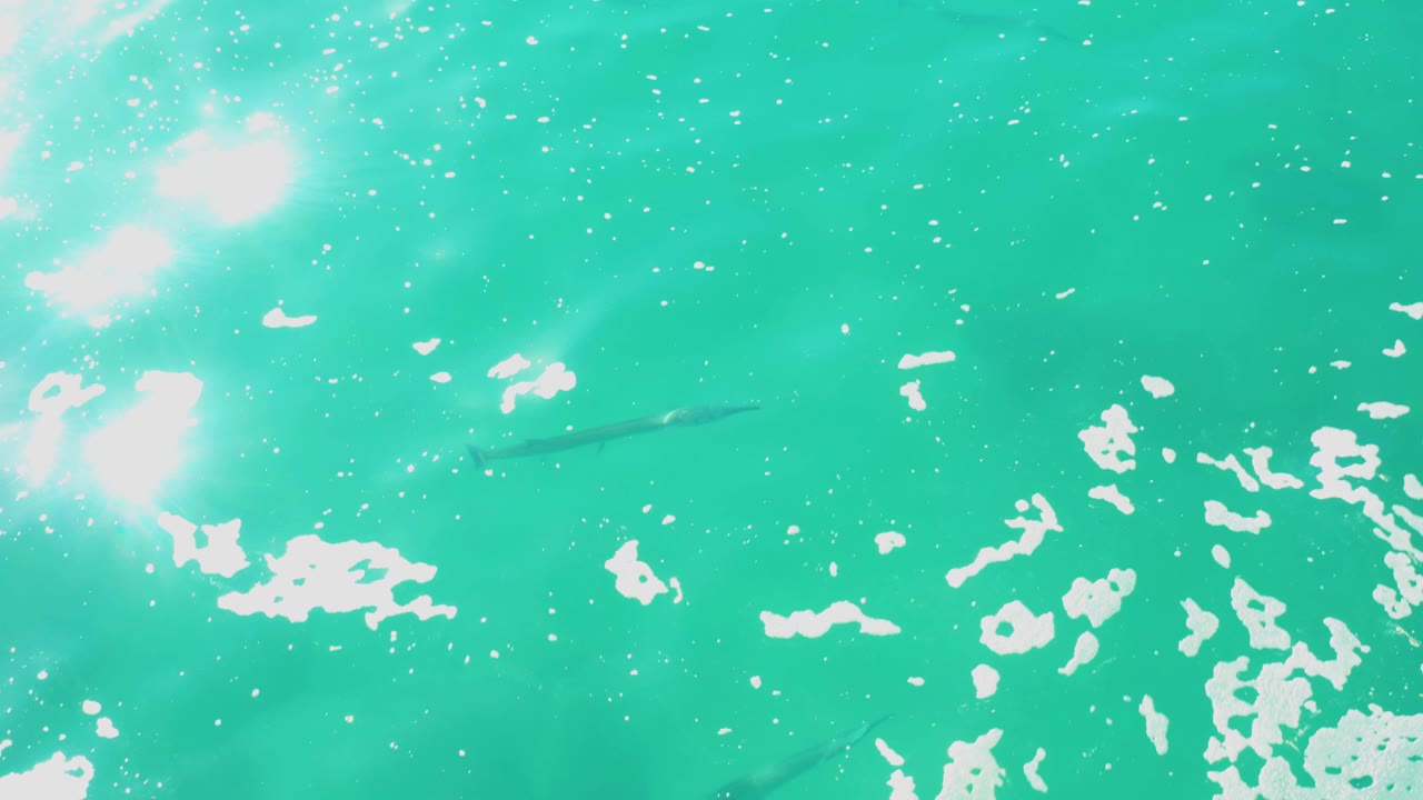 At Laguna Beach Los Cabos, the water remains bright turquoise with scattered white reflections, a dark fish form near the center, and no visible people.